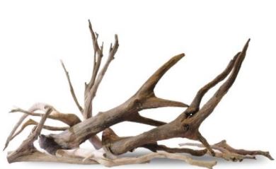 driftwood